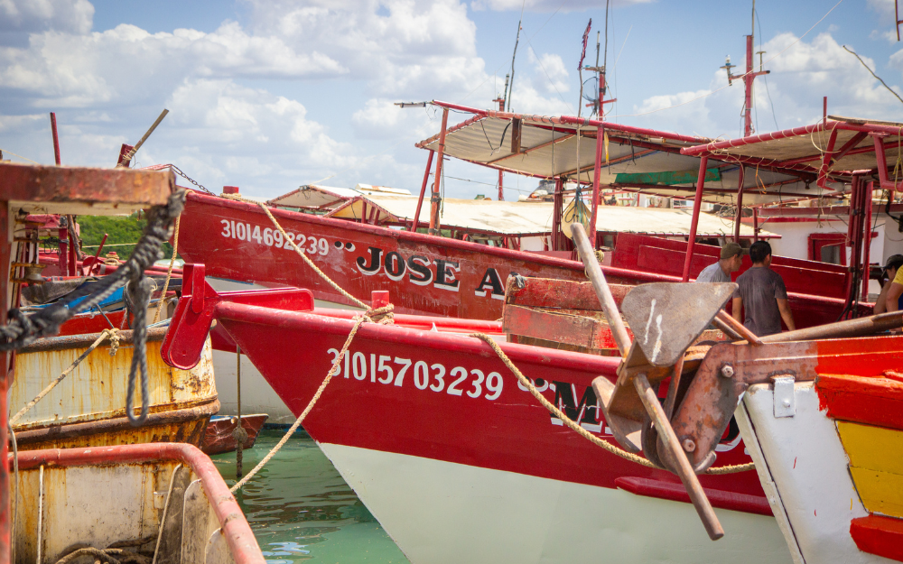 boats docked boats docked